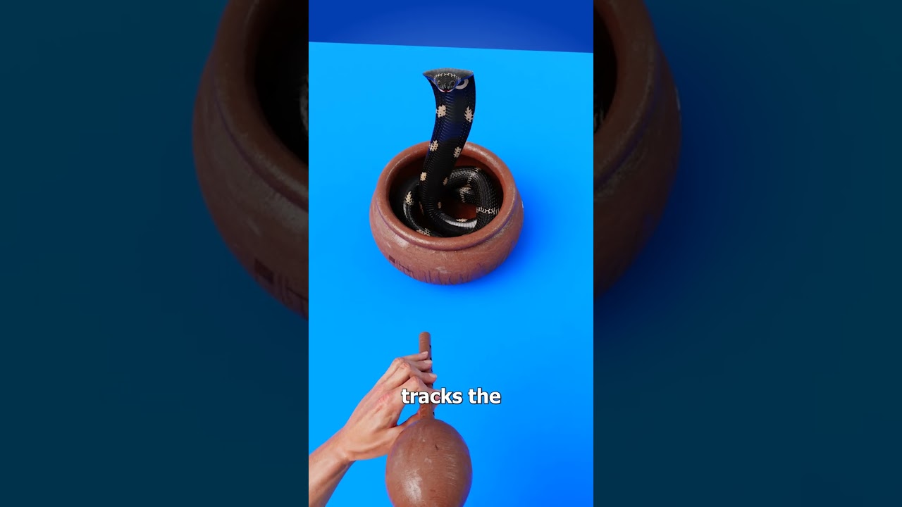 How Snake Charming Works 🤯