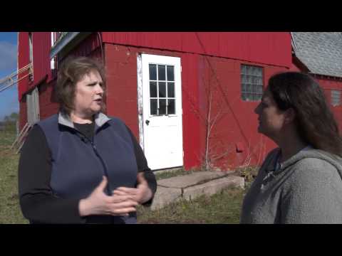 SPNN Market:Grass Fed Beef at Farm on Wheels Video