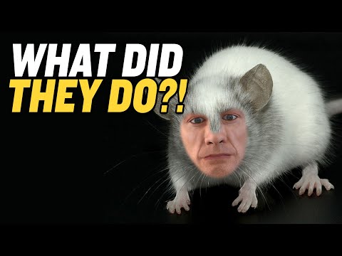 Human Animal Chimeras in Wuhan Lab | CCP Celebrates 100th Birthday