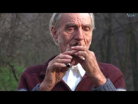 3.Petar Ljeparevic - Dusankino kolo 1.