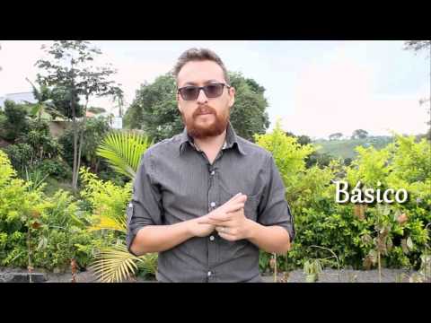 Cursos de idiomas con Dave Romero, inglés, portugues e italiano.