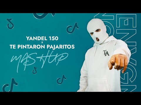 Yandel 150 x Te Pintaron Pajaritos (Enygma Mashup)