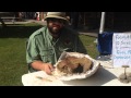 Preparing A Cretaceous Turtle Fossil