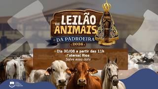 LEILÃO DE ANIMAIS DA PADROEIRA 2026