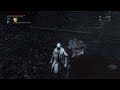 Bloodborne Rest In Peace Ludwig