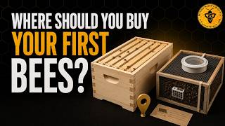 07-Where Should You Buy Your First Bees?