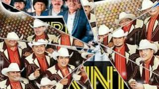 Que si me duele tu adiós - Grupo Laberinto (por sergius tjbcmx)