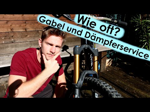MTB Gabel Service - Wie oft solltest DU ihn machen?!