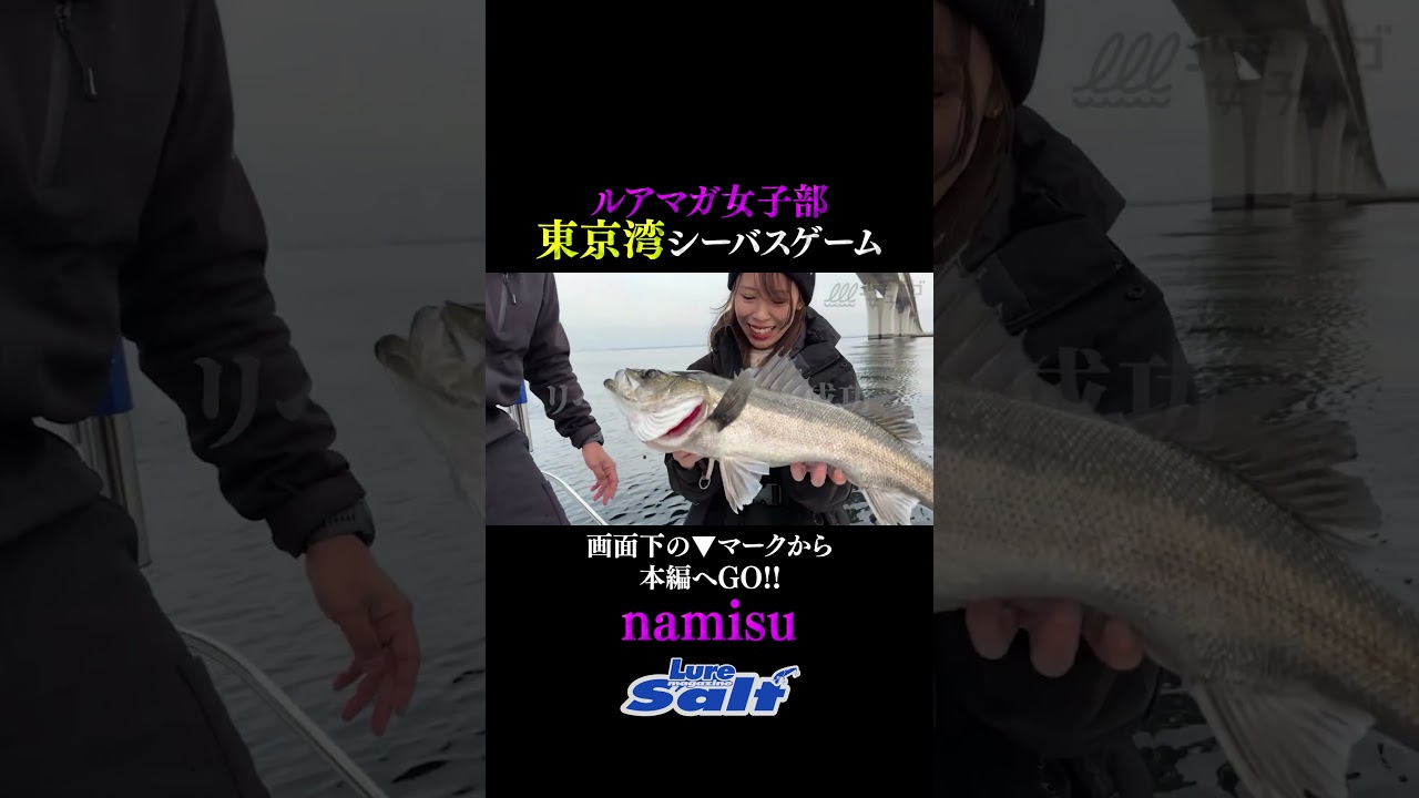 【東京湾ボートシーバス】出るか？ランカーシーバス！ルアマガ女子部namisuさんがエキサイト！東京湾ボートシーバスゲーム。