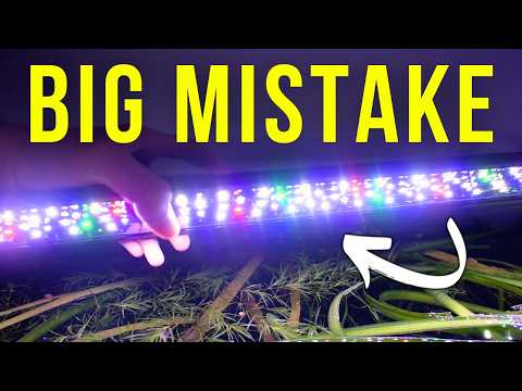 STOP Killing Your Plants! The Ultimate Planted Aquarium Lighting Guide