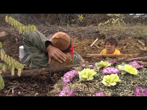 Per 50€ Axha Sheqë qel vorre😂 (Pjesë Qesharake) Stupcat Egjeli 2016 - Episodi 2 ~ Seriale Vendore