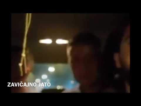 ZAVIČAJNO JATO - Poletio sivi soko napustio gnjezdo svoje