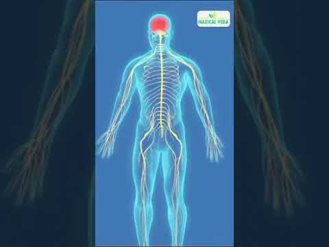 Herbal Sexual Capsule, Packaging Type: Blister, 10 Capsules