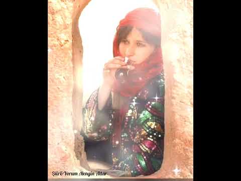 "Biz Kardeşiz" (Şiir) Rengîn Adar