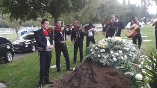 Son de Jalisco - Las Golondrinas