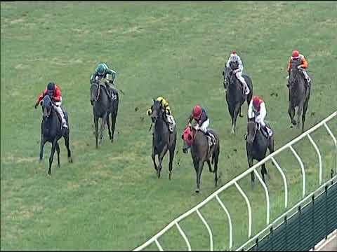 Napoli Galoppo 10/12/2022 - 1ª corsa