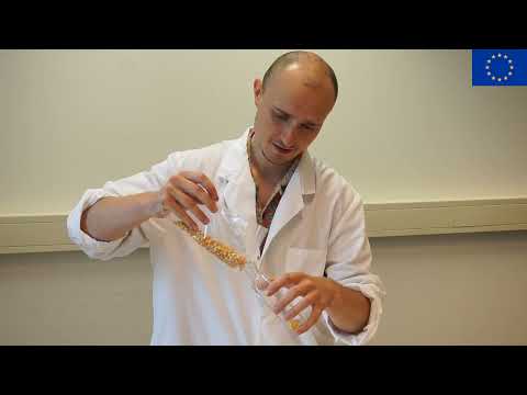 ESR8  1st Videoblog PersonalizeAF