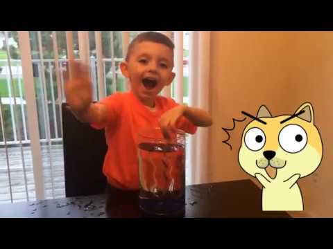 HEXBUG AquaBot Wahoo Review, Toy Reviews,