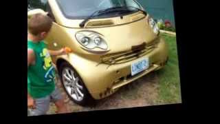 preview picture of video 'Gold Bunny Car'