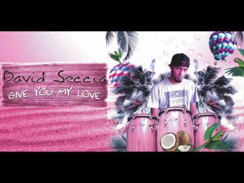 David Seccia - Give you my love
