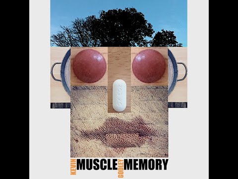 a suicide of angels—muscle memory CD bonus track
