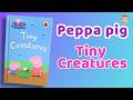 Peppa Pig Tiny Creatures Read Aloud For Kids Read With Era