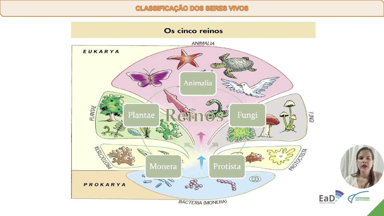 Unidade I - Introdução ao estudo de Zoologia - Profa. Liane Nascimento