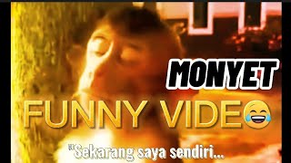 Download lagu #SHORT | STORY WA 30 DETIK SEDIH'😂 mp3