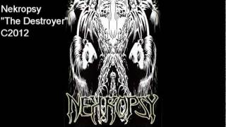 Nekropsy- The Destroyer