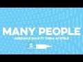 Adekunle Gold ft. Yinka Ayefele - Many People (Official Lyrics Video)