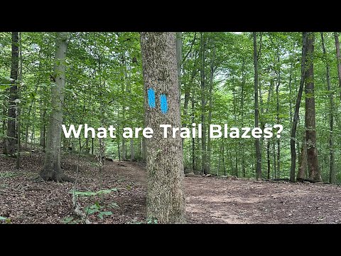 Trail Blazes Are a Type of Trail Marker. Here’s What You Need to Know.