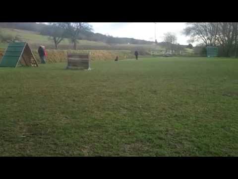 Ayra vom Schwarzen Grat