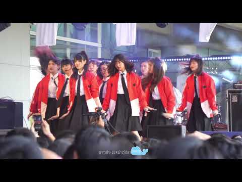 [Fancam4K] Start Again - FEVER @ Cat T Shirt 2019