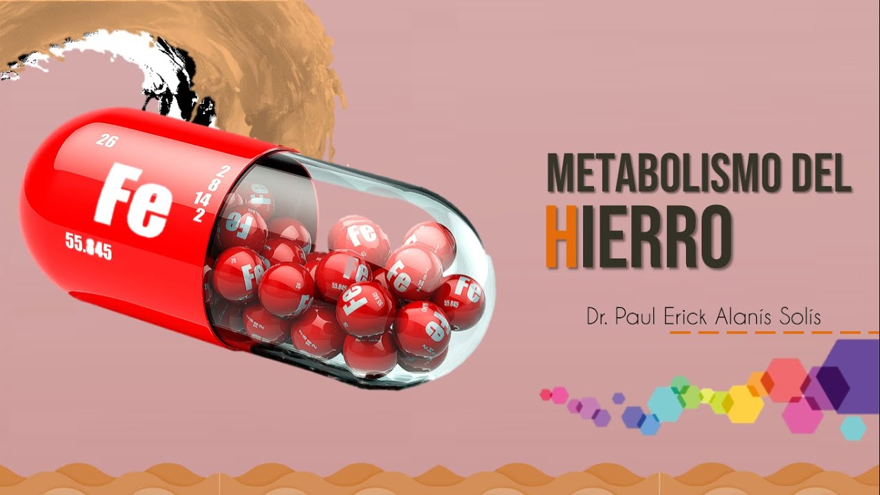Metabolismo del Hierro