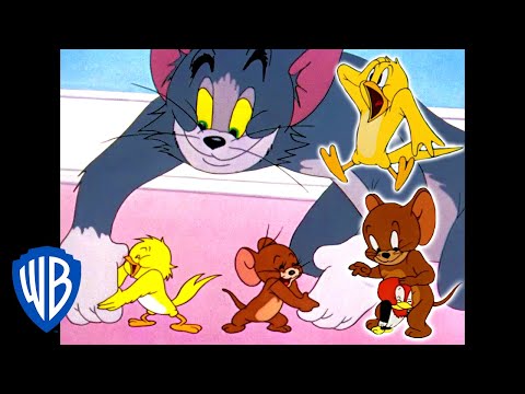 Tom & Jerry | Bird Attack! | Classic Cartoon Compilation | WB Kids Video