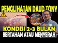 DAUD TONY S VIEW