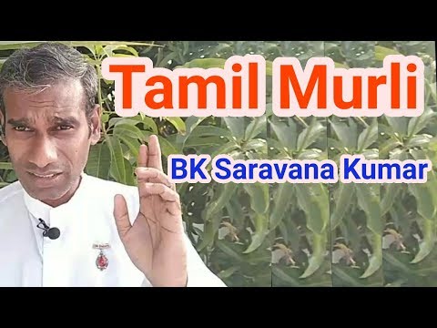 Tamil Murli 12 June 2019 - BK Saravana Kumar