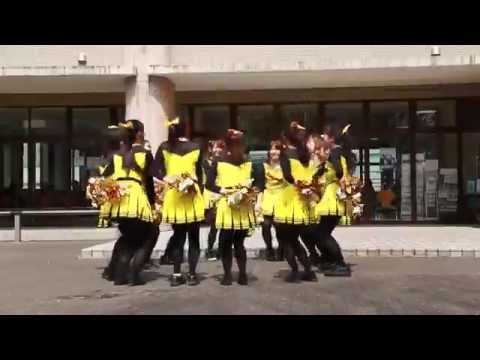 発達支援教育学科 植草学園大学・短期大学 サークル紹介　ダンスサークル「Welfares」