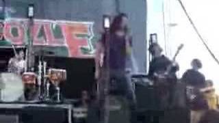 Hidden In Plain View - Bleed For You