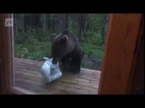 PERKELE SIIIHEN ET KOSKE SAATANA