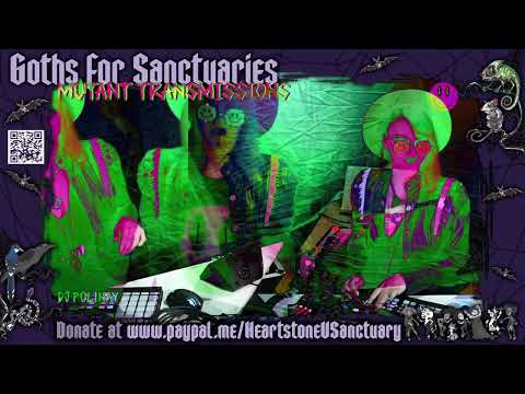 DJ POLINA SET GOTRHS FOR SANCTUARIES cat set