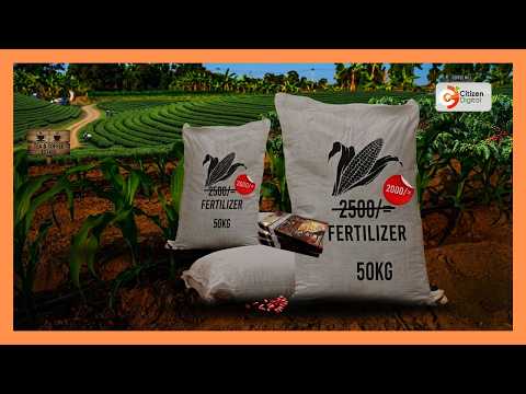 Government reforms boost farmers’ earnings, but challenges persist