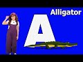 ABC For Kids Learn ASL Alphabet And ABC Animal Names