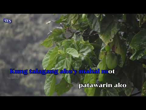 PALIWANAG / KARAOKE VERSION / In the style of : Gemma Franco