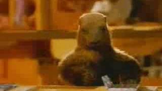 Et la marmotte met le petit chocolat dans le papier d'alu