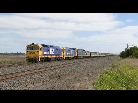 7734V Pacific National Grain Train  (5/4/2021) - PoathTV Australian Railways