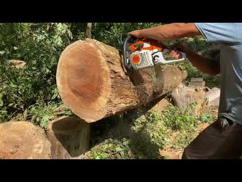 Stihl MS 271 Farm Boss