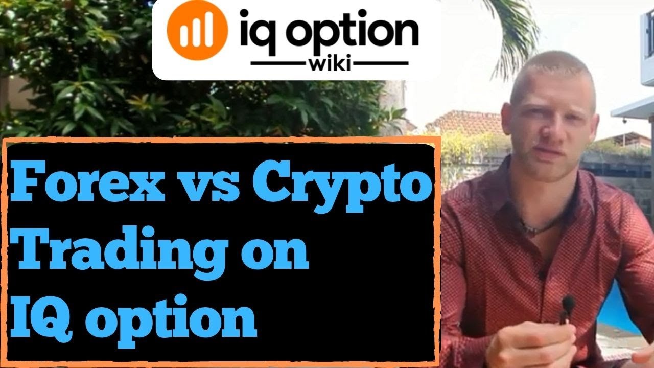 Bitcoin para 6k próximo a 20K | Forex VS Crypto Trading na opção IQ
