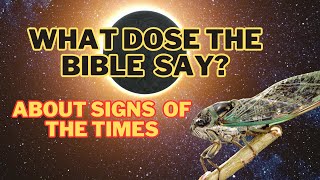 Shadow and Song: The Prophetic Intersection of Solar Eclipses and Cicada Emergences