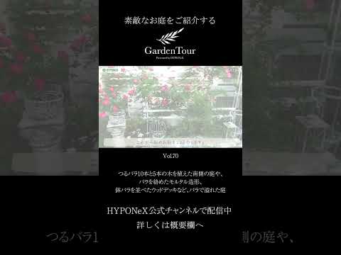 庭やテラスにぴったりの素朴で親しみやすいつる性植物 6 選  庭園